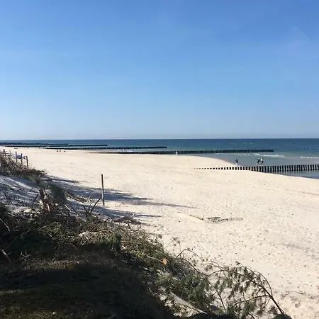 Dom wakacyjny Magnolia *