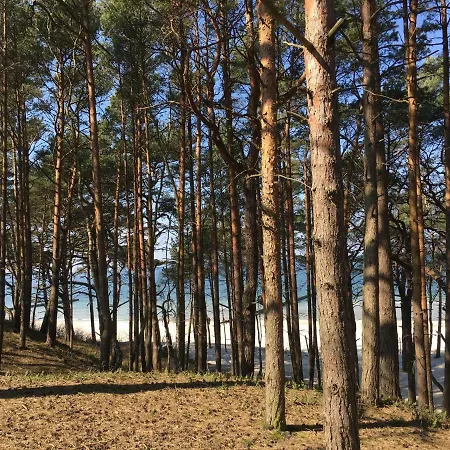 Magnolia Dom wakacyjny Dźwirzyno