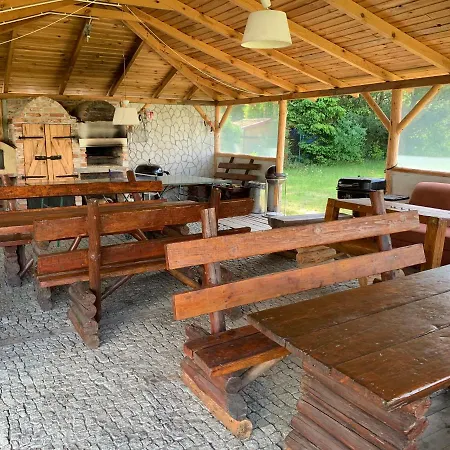 Magnolia Дзвижино