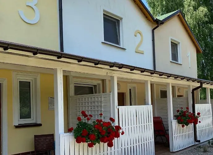 Magnolia * Дзвижино