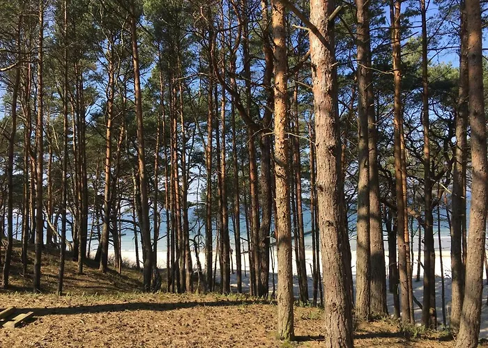 Magnolia Dom wakacyjny Dźwirzyno