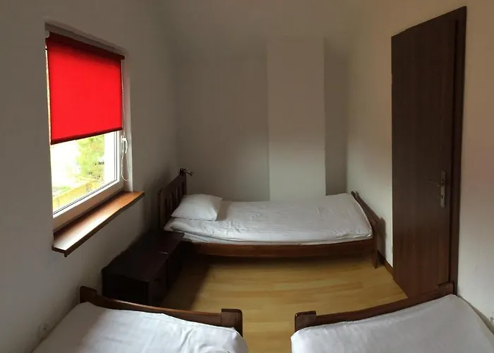 Magnolia * Dźwirzyno